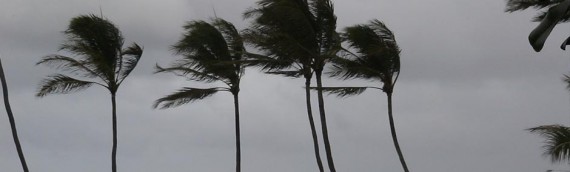 Cyclones